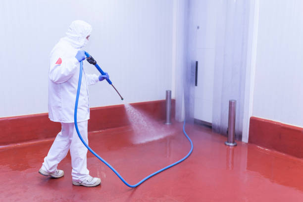 Best Driveway Pressure Washing  in Lewistown, MT